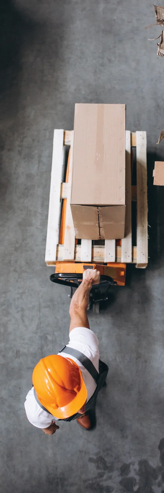 Palletised goods moving through the plant